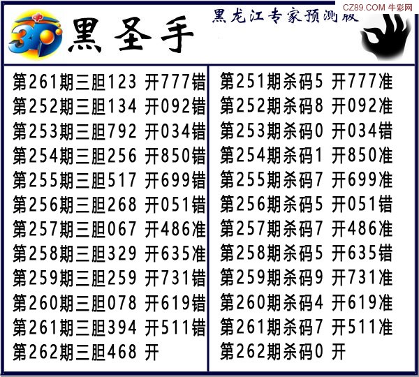 黑圣手