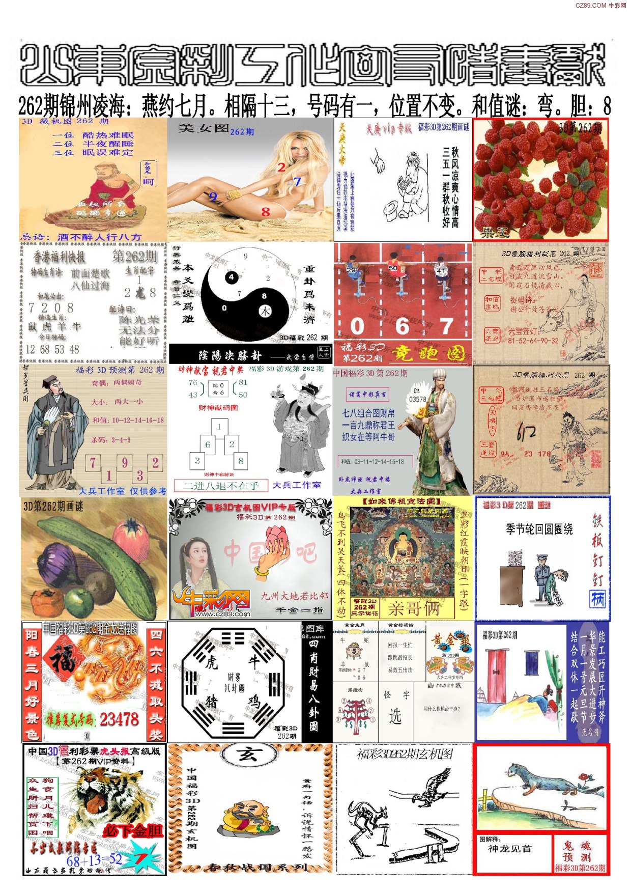 山东金彩