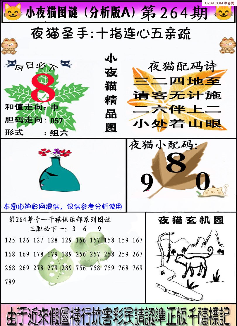 真小猫A