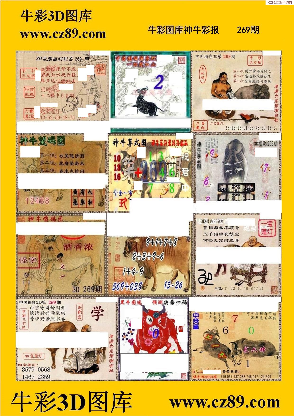 神牛彩报