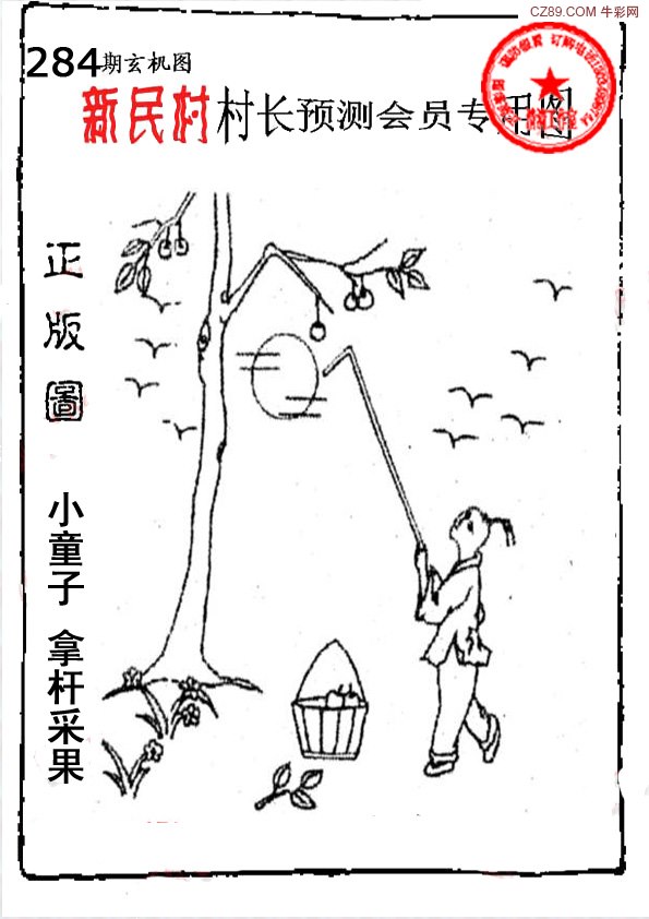 新民村村长预测图