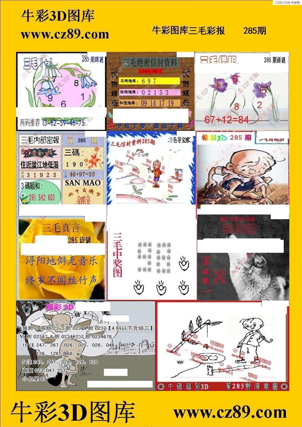 三毛彩报
