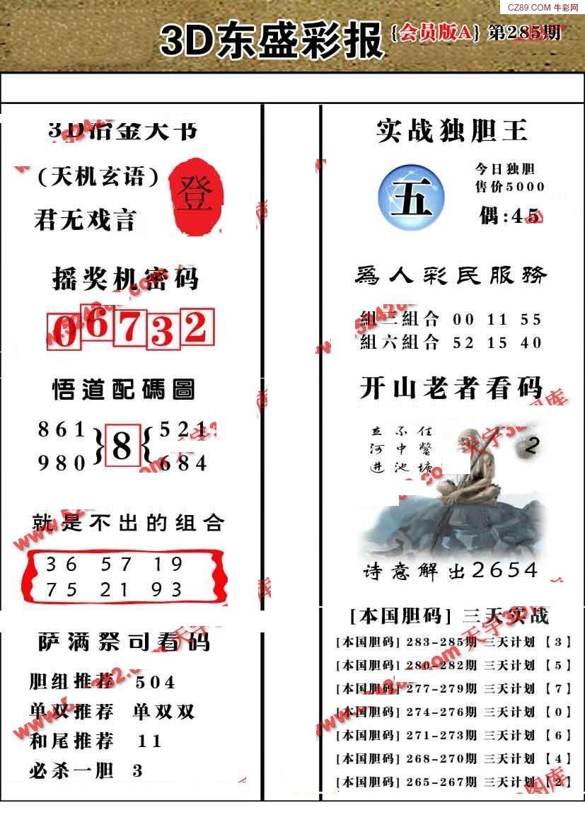 东盛会员版A版