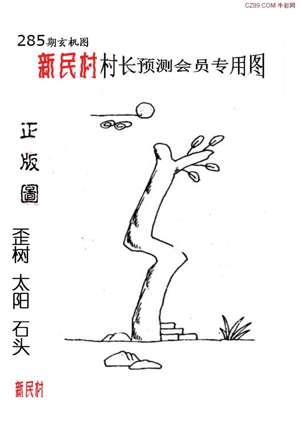 正版新民村村长预测图