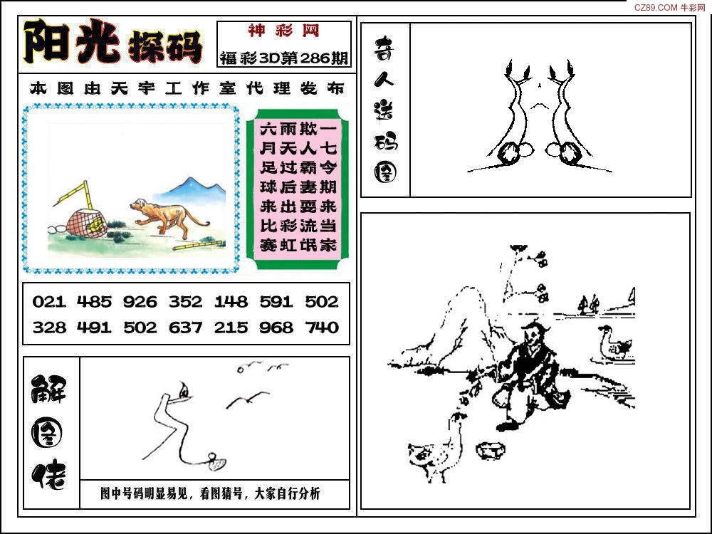 3D阳光探码