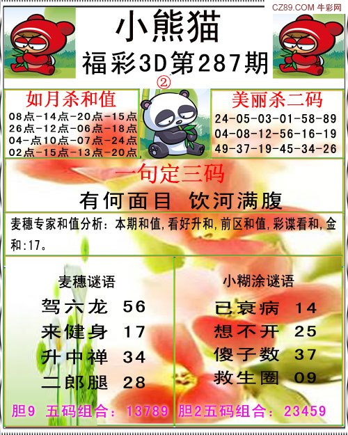福彩小熊猫B