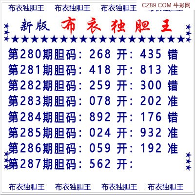 布衣独胆王